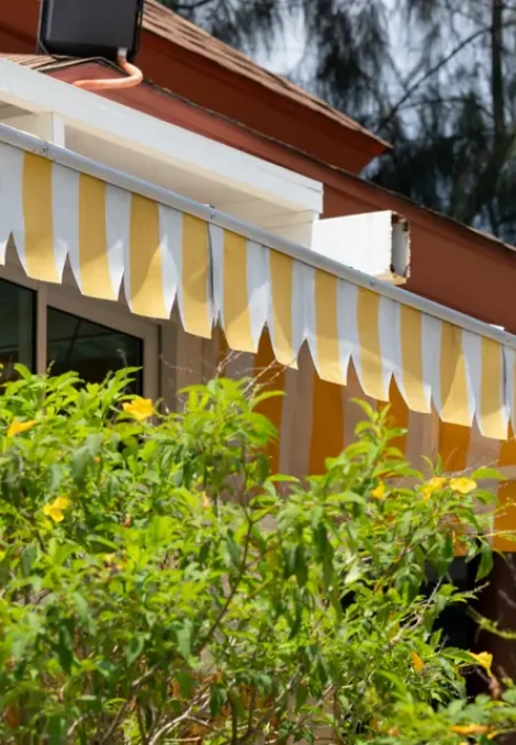 bahce-tentesi-modelleri bahce-tentesi-modelleri